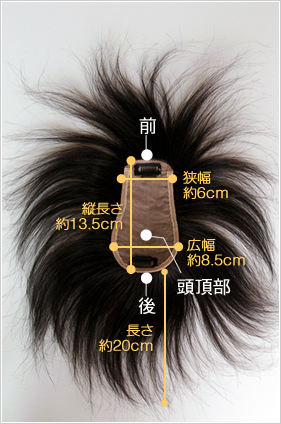 セミオーダーヘアピースTP100R
