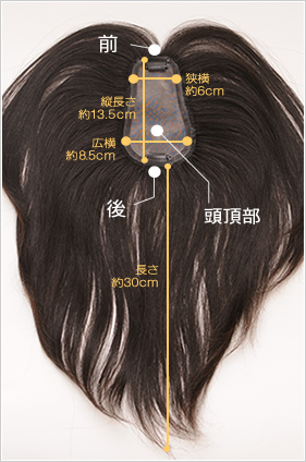 セミオーダーヘアピースTP100R