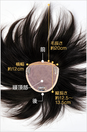 セミオーダーヘアピースTP200BR