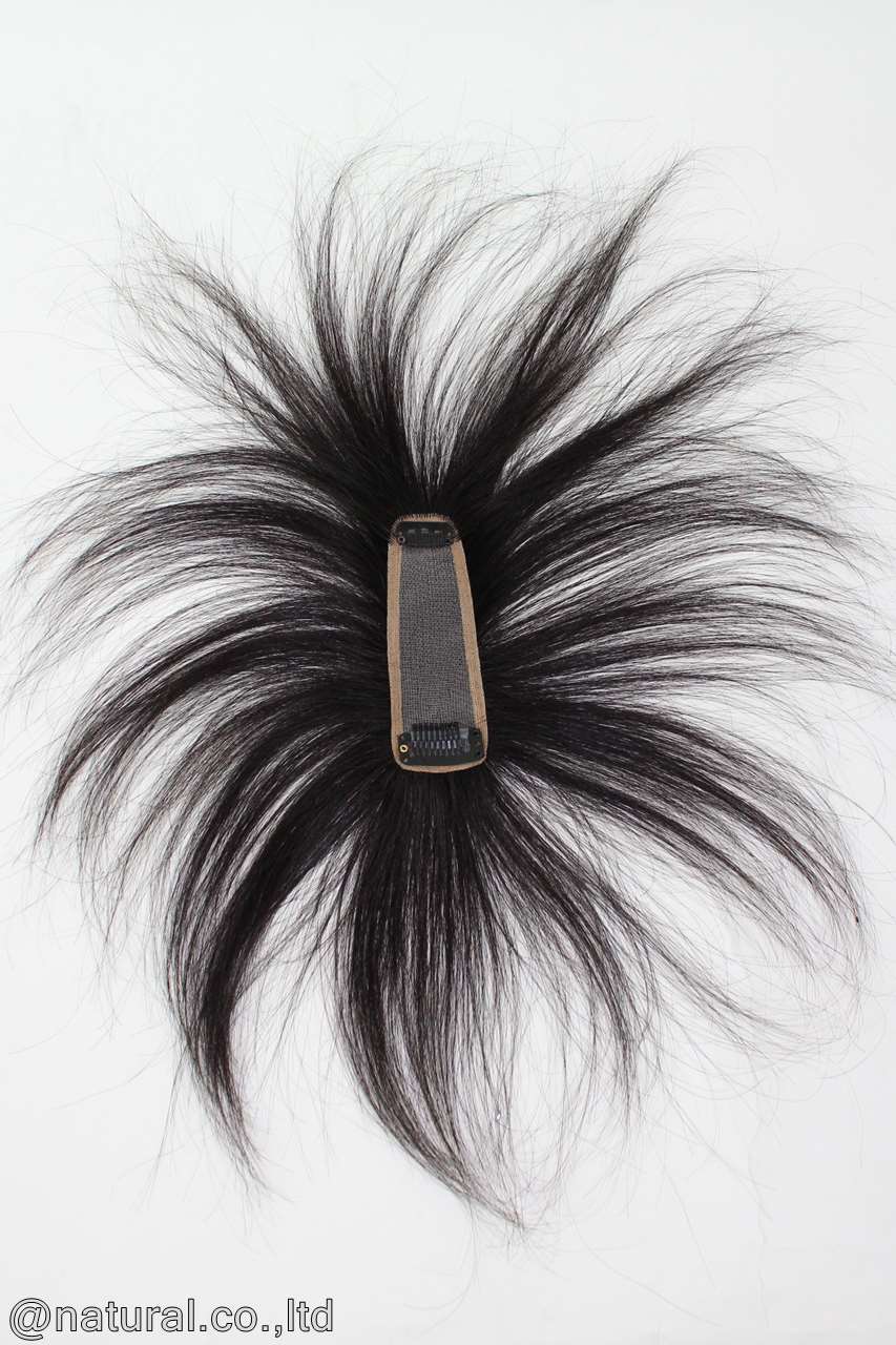 セミオーダーヘアピースTP20